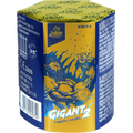 Gigant 2
